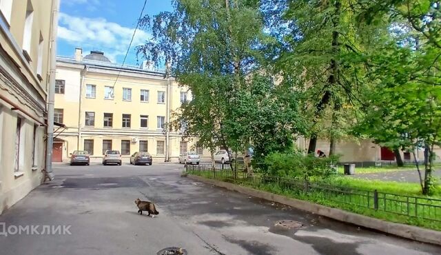 Санкт-Петербург, Василеостровский, 76/18 лит А, линия В. О., 18 фото