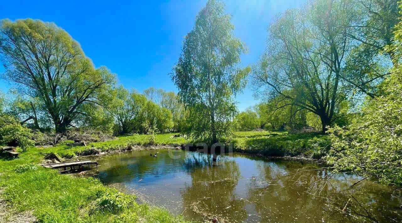 земля городской округ Луховицы с Горетово фото 9