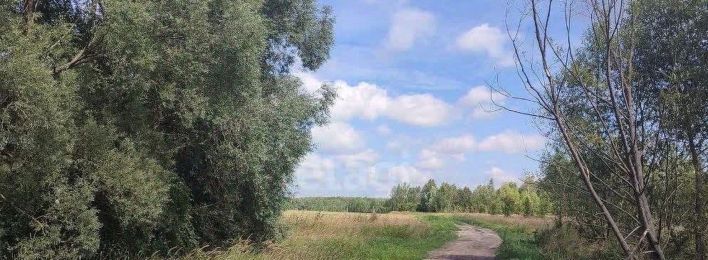 земля городской округ Озерский д Найдено ул Овражная 26 Коломна городской округ фото 8