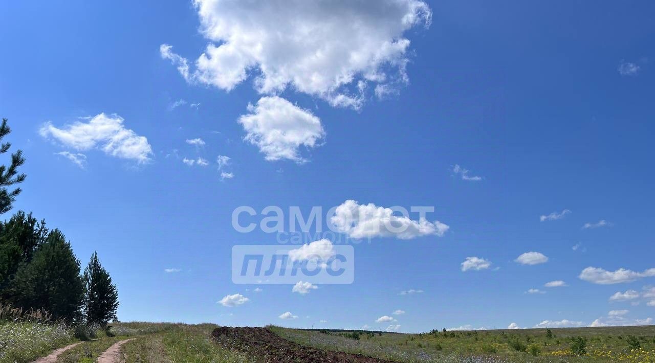 офис р-н Сарапульский с Лагуново ул Полевая 9 фото 9