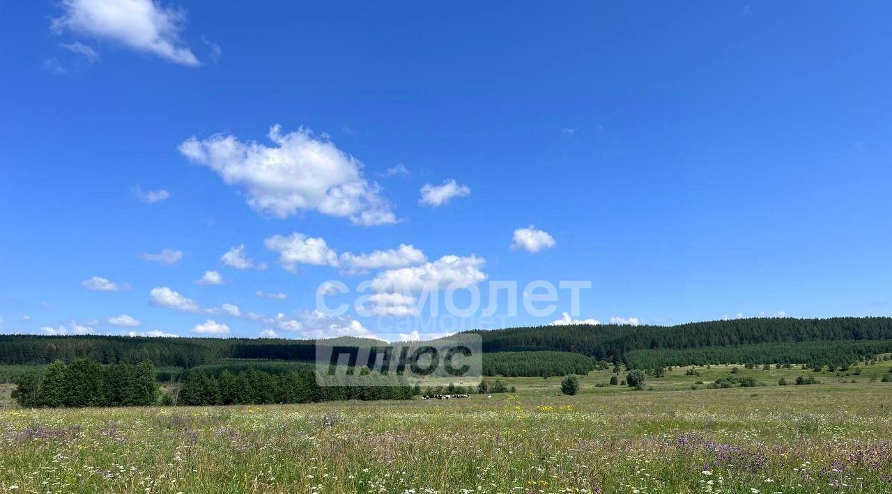 офис р-н Сарапульский с Лагуново ул Полевая 9 фото 12