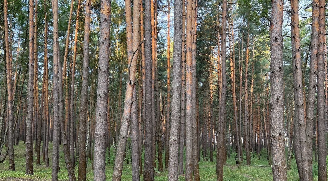 земля городской округ Серпухов п Большевик фото 4