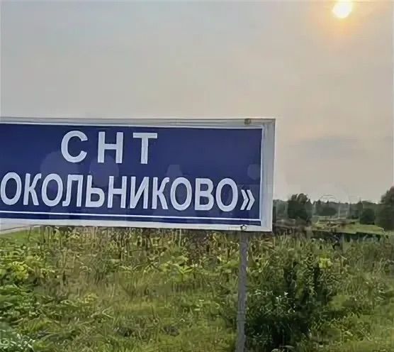 земля городской округ Можайский с Сокольниково снт Сокольниково 108 км, Можайск, Минское шоссе фото 2