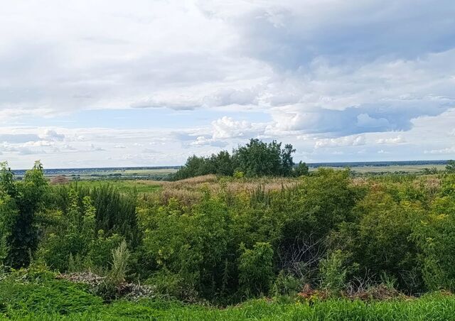 д Нижняя Ильинка ул Береговая Красноярское сельское поселение, Омск фото