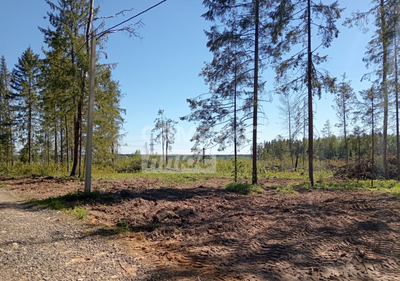 земля р-н Боровский г Балабаново Балабаново-1 ул Загородная Киевское шоссе фото 2