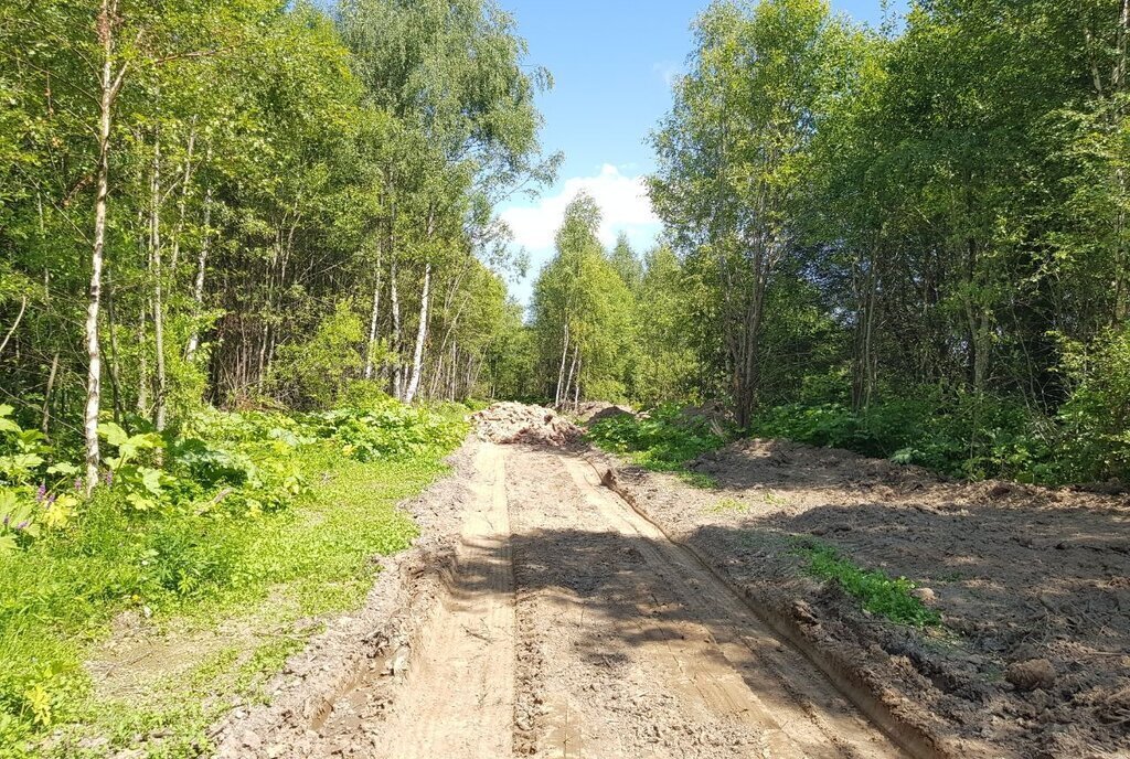 земля городской округ Рузский д Новорождествено фото 2