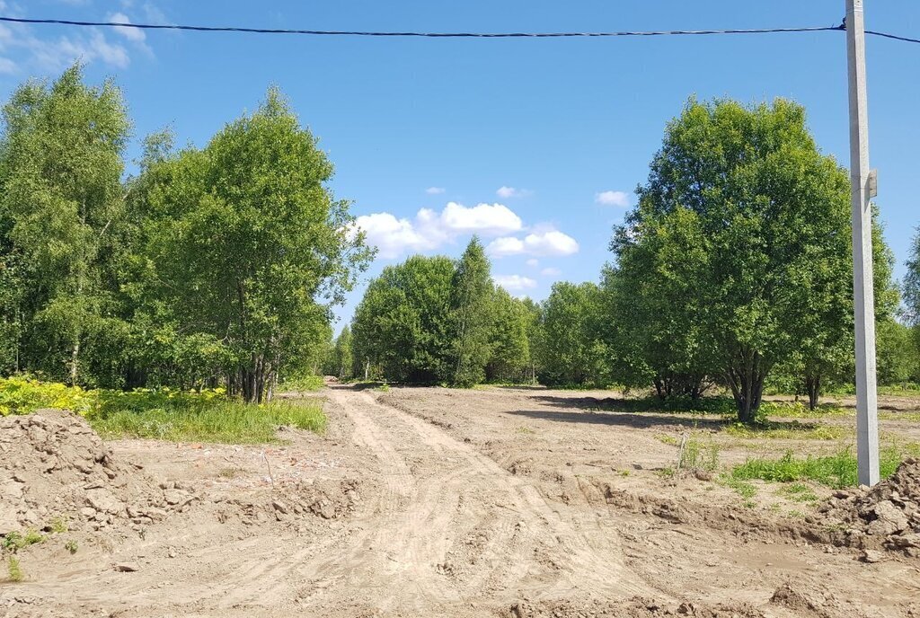 земля городской округ Рузский д Новорождествено фото 3