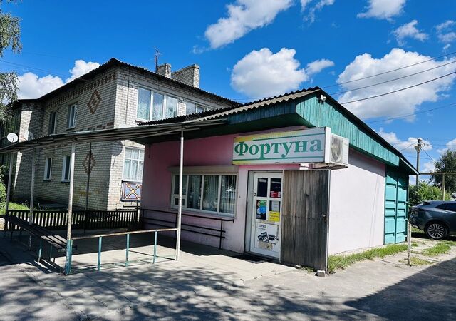 свободного назначения дом 67а Почепское городское поселение фото