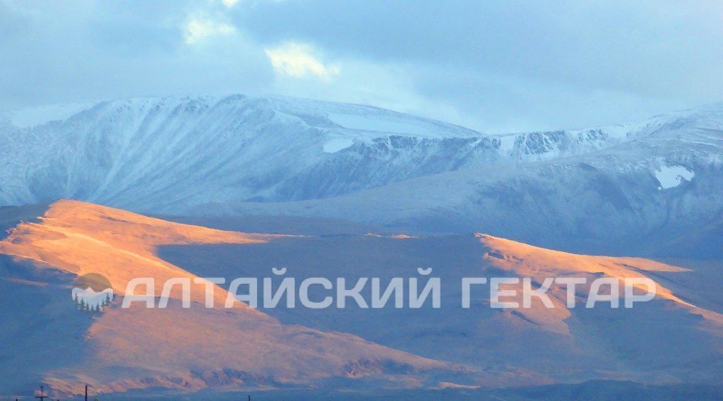 земля р-н Кош-Агачский с Кош-Агач фото 1