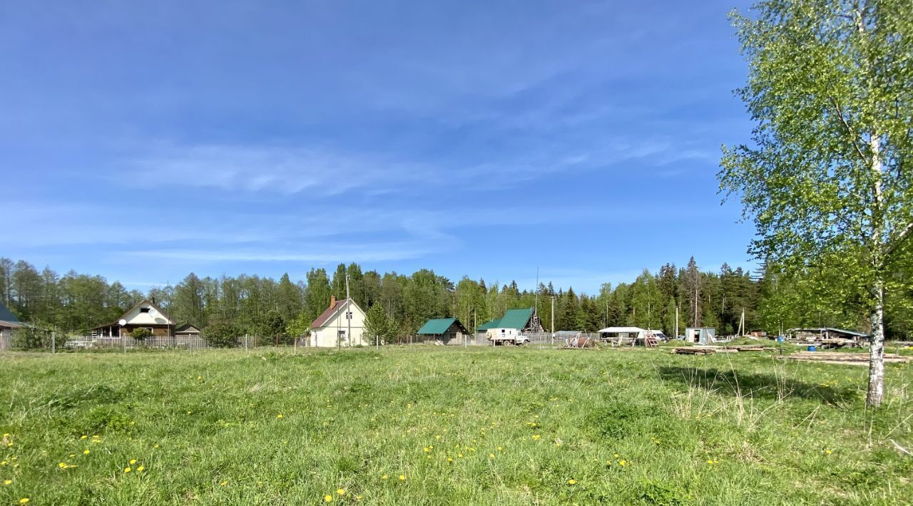 земля р-н Гдовский д Великуша Самолвовская волость фото 11