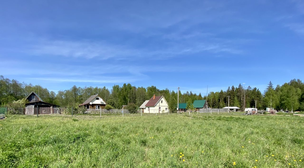 земля р-н Гдовский д Великуша Самолвовская волость фото 20