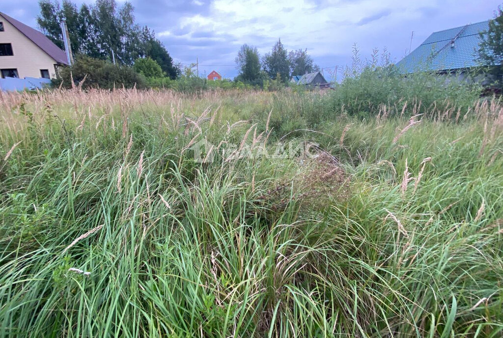 земля городской округ Воскресенск д Расловлево ул Свободная фото 7