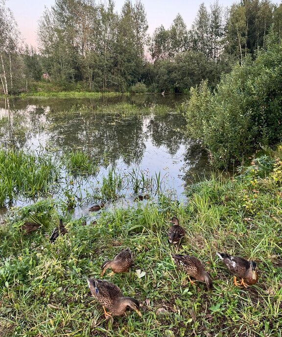 дом городской округ Сергиево-Посадский д Ворохобино снт Монолит 113 фото 18