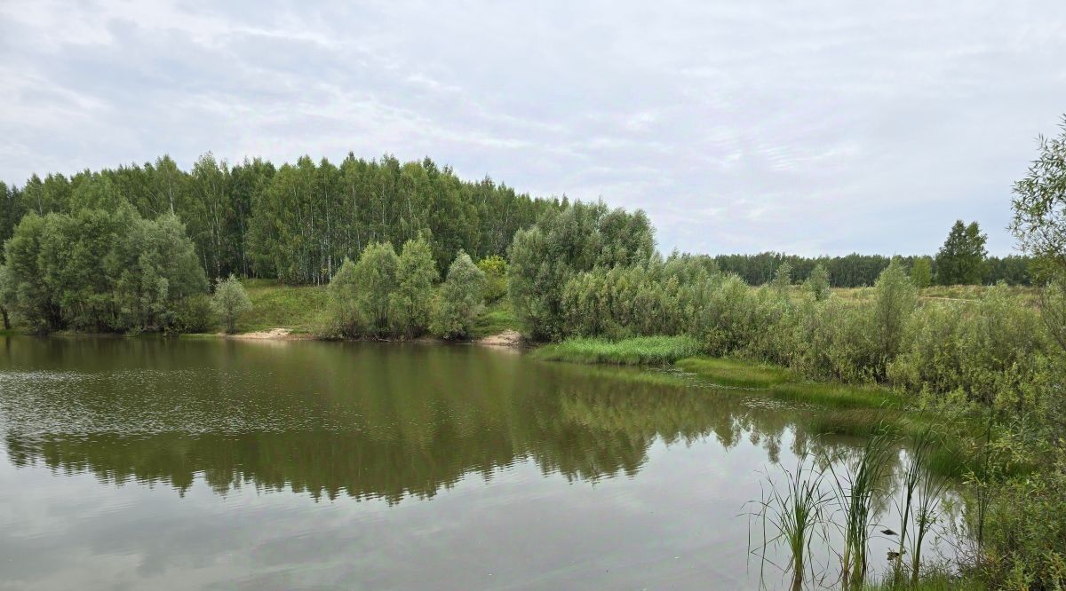 земля р-н Высокогорский с Шигали ул Центральная Семиозерское с/пос фото 2