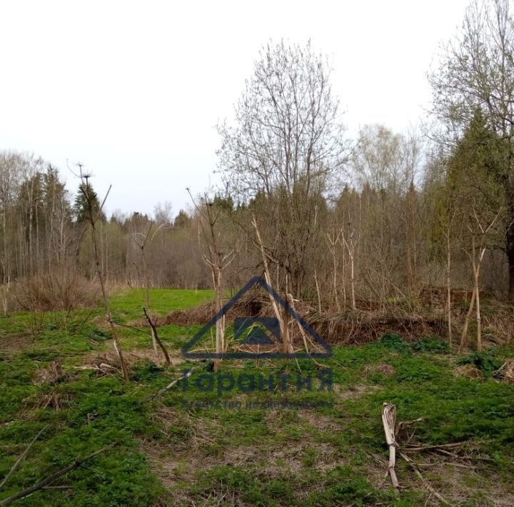 земля городской округ Дмитровский рп Некрасовский Хлебниково, 9 фото 8