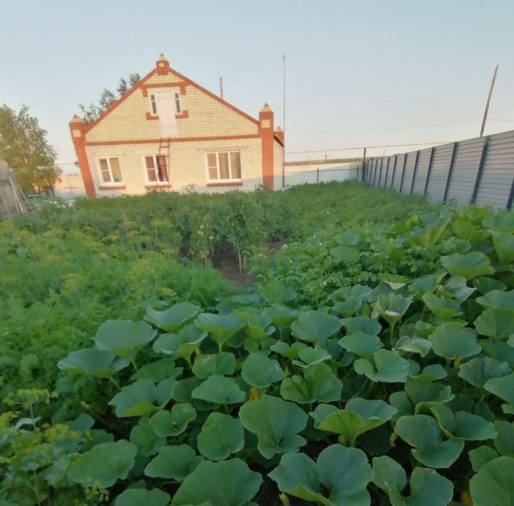 дом р-н Карталинский п Варшавка ул Центральная 68 фото 17