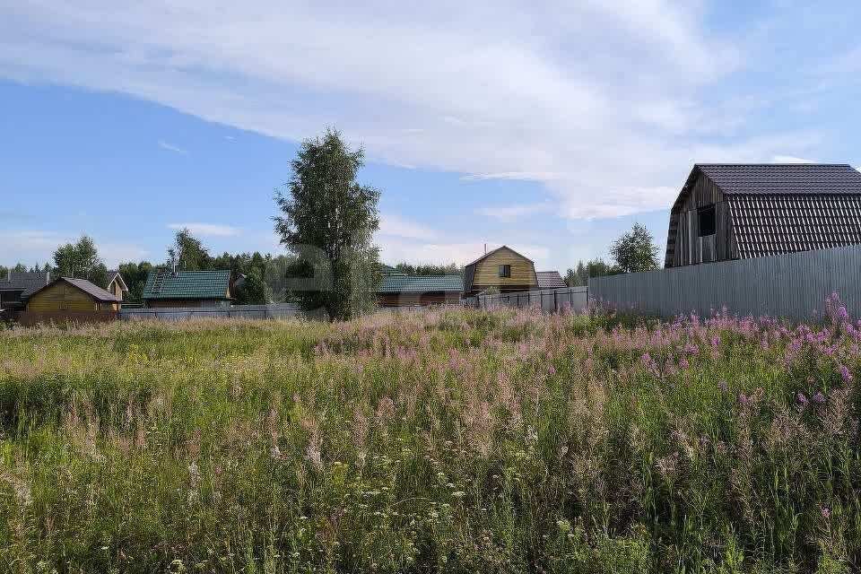 земля городской округ Богородский посёлок Зелёный фото 2