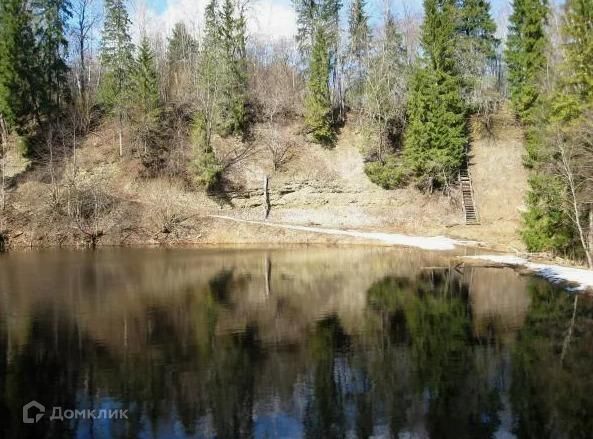 земля р-н Ломоносовский деревня Верхние Рудицы фото 5