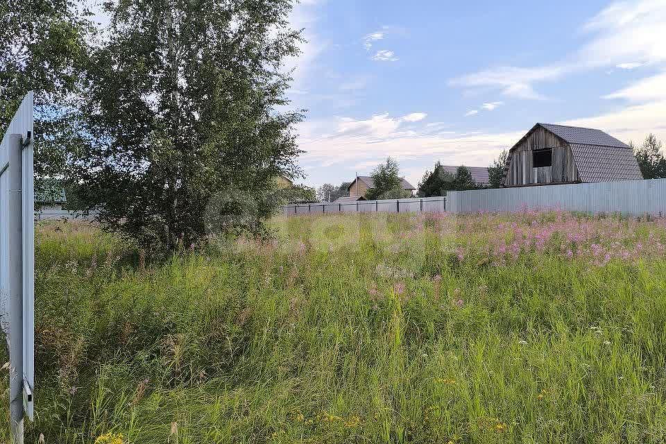 земля городской округ Богородский посёлок Зелёный фото 5