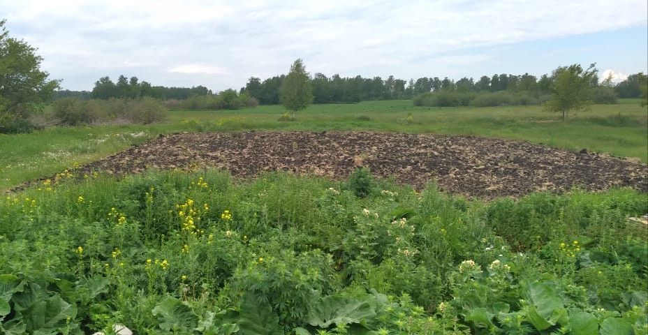 земля Копейский городской округ, село Калачёво фото 1