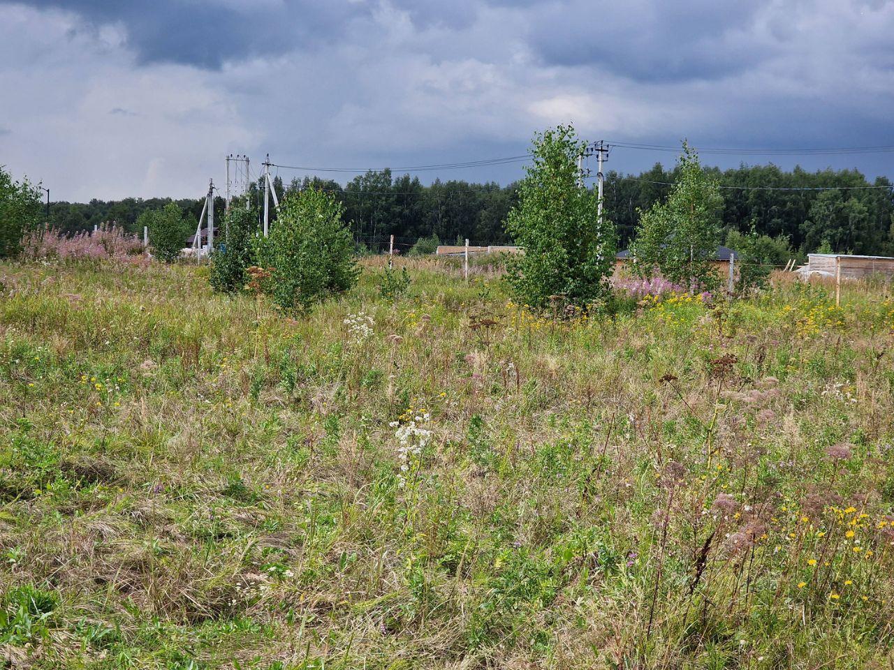 земля городской округ Раменский Долина Озер-2 кп, 509 фото 8