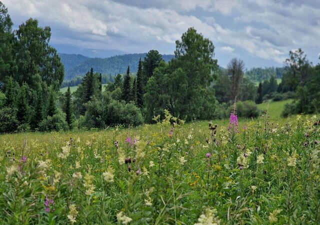 Горно-Алтайск фото