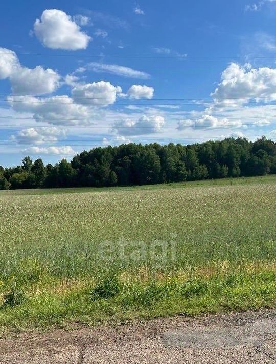 земля р-н Пестречинский п Карповка Кулаевское с/пос, ул. Дачная фото 7