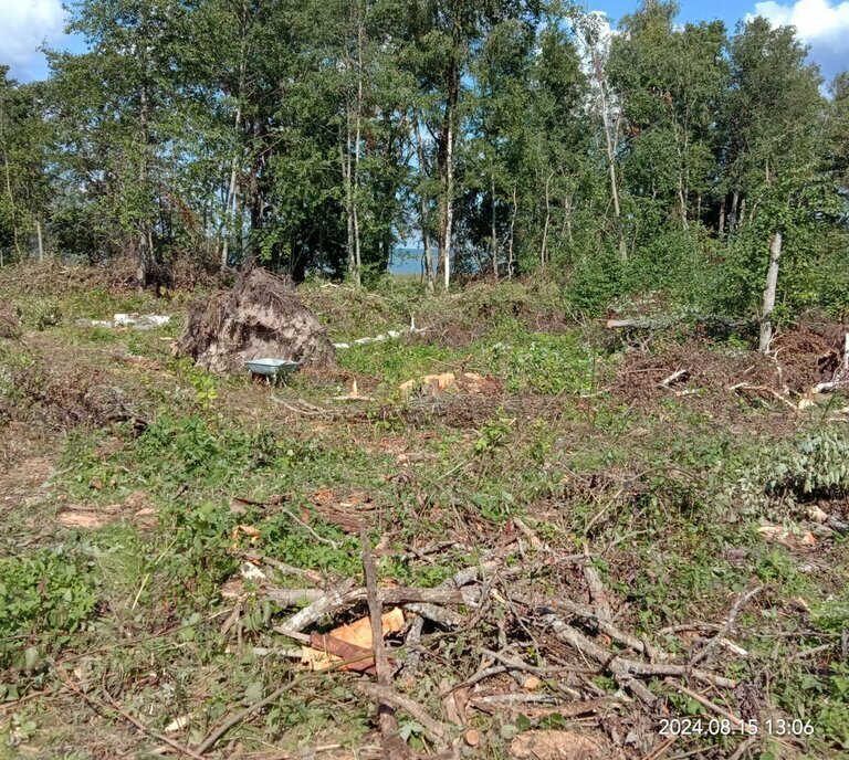 земля р-н Приозерский п Яблоновка Громовское сельское поселение фото 2