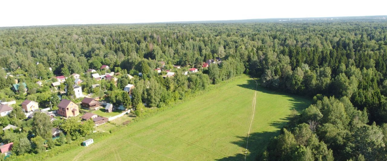 земля 88, Пушкинский городской округ, Калистово кп фото 2