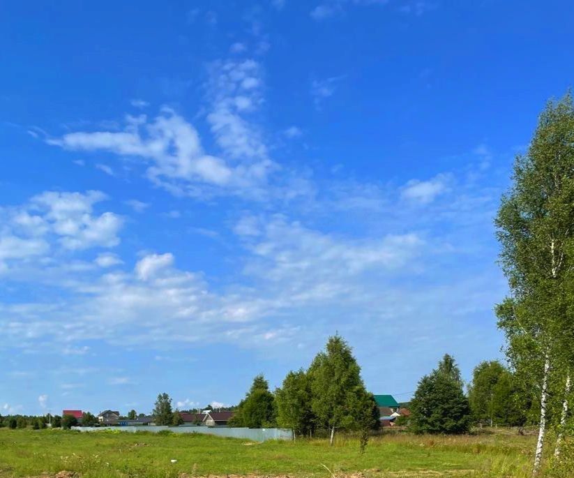 земля городской округ Можайский д Денисьево фото 5