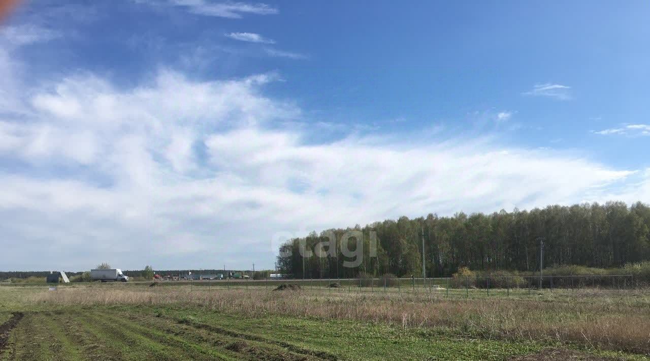 земля р-н Тугулымский с Мальцево ул Центральная фото 4