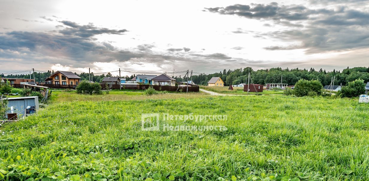 земля р-н Ломоносовский днп тер.Сказка Лопухинское с/пос, 279 фото 3