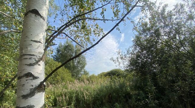 снт Веськово ул. Жасминовая, Переславль-Залесский городской округ фото