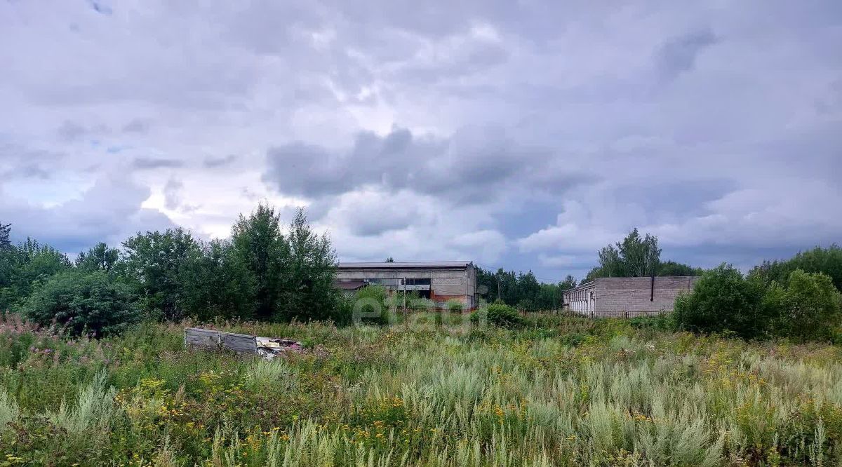 земля р-н Пригородный п Черноисточинск ул Таежная фото 1