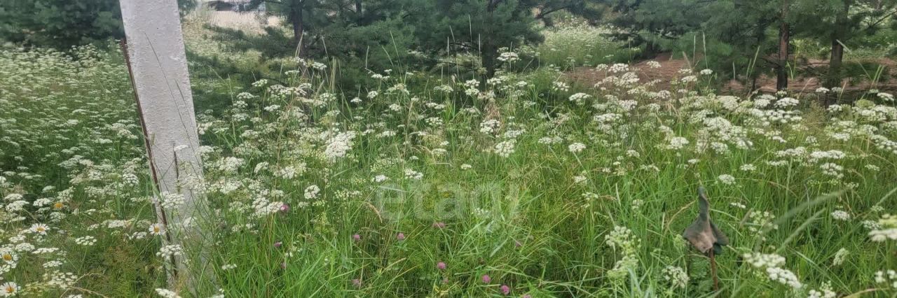 земля р-н Пригородный с Лая ул Высокогорская фото 8