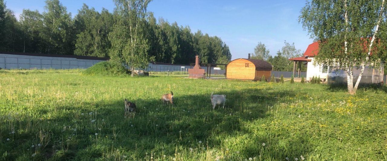 земля городской округ Истра д Первомайское фото 2