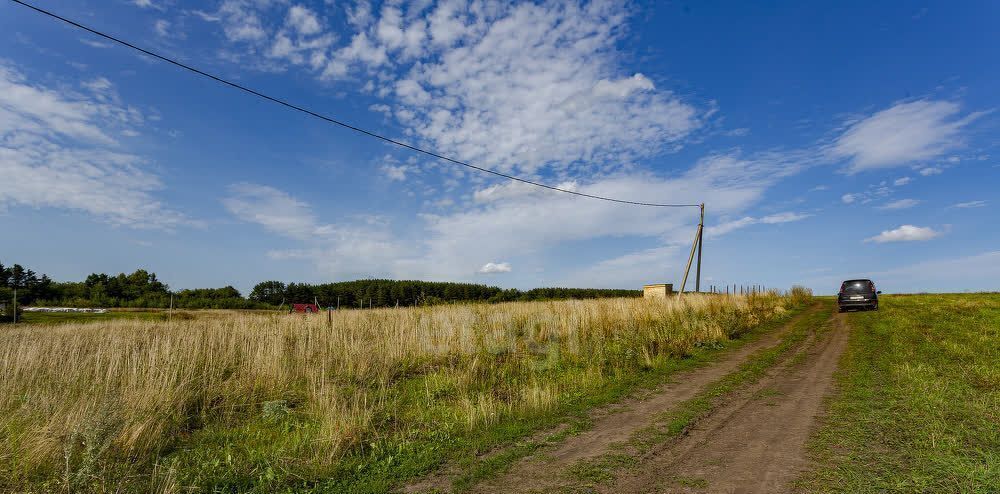 земля р-н Новокузнецкий с Сосновка ул Шория фото 1