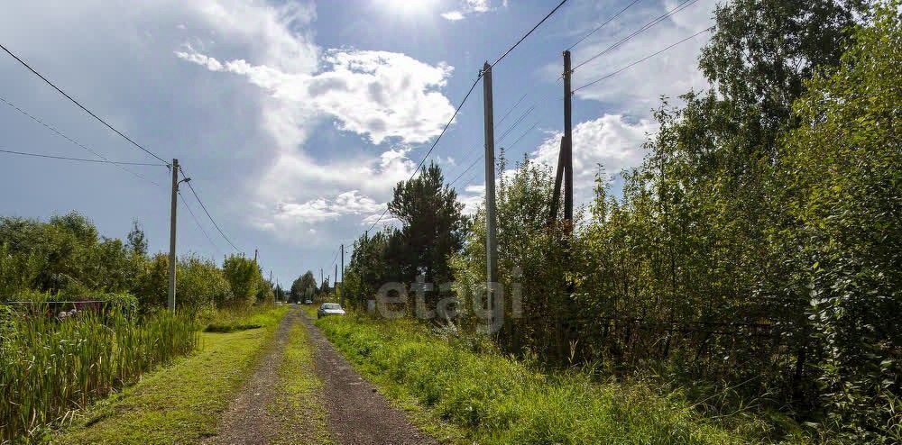 земля р-н Новокузнецкий с Ашмарино ул Луговая фото 7