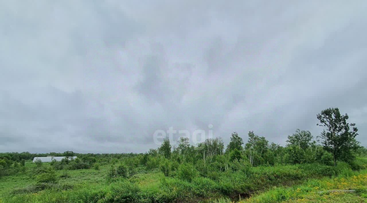 земля р-н Елизовский г Елизово Дубрава-1 ПААТО Камчатстроя СНТ фото 4