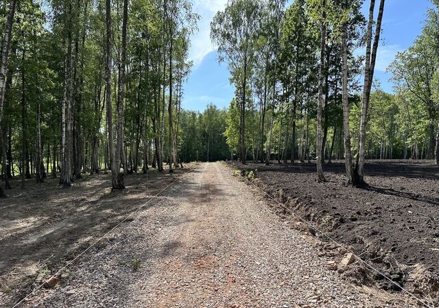 направление Павелецкое (юго-восток) ш Новокаширское 28 км, пос. Красное озеро, 33, Домодедово фото