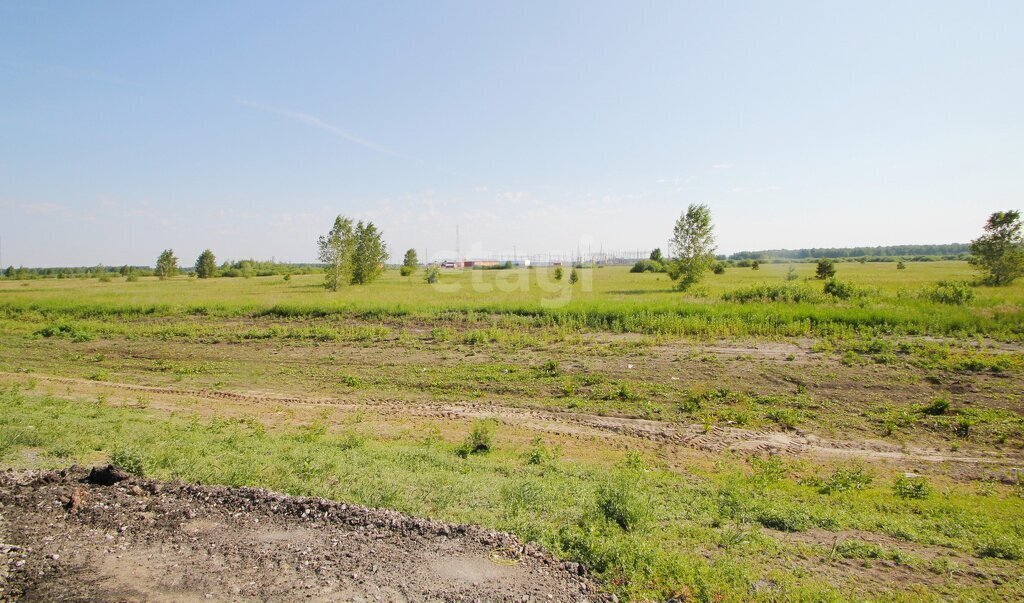 земля р-н Ялуторовский с Беркут ул Романовская фото 4