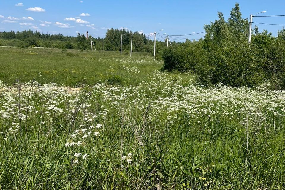 земля городской округ Павловский Посад деревня Грибанино фото 1