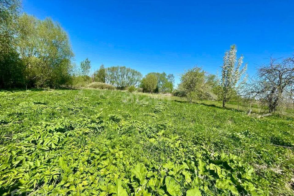 земля городской округ Луховицы село Горетово фото 5