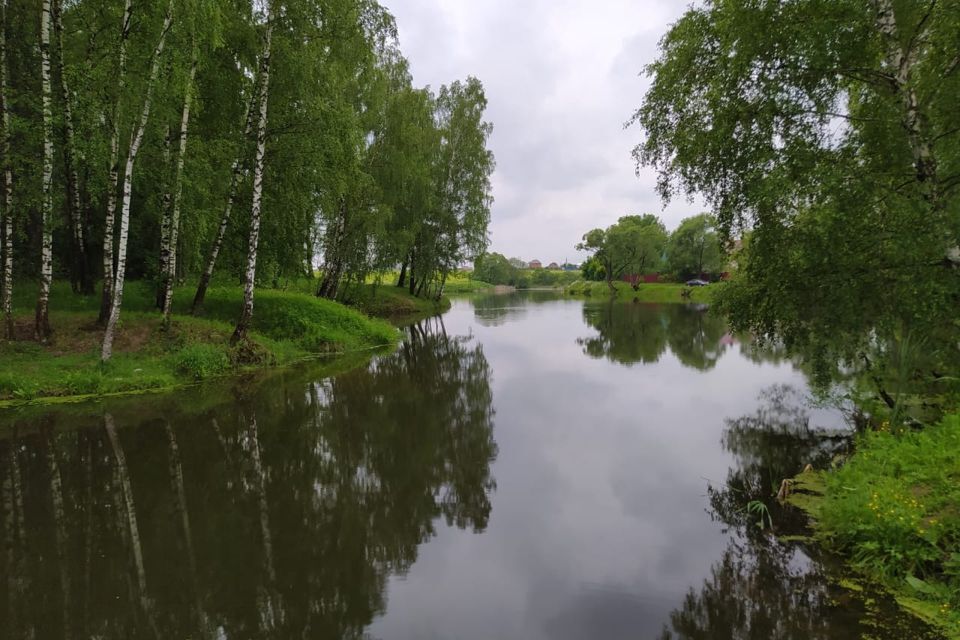 земля г Домодедово Барыбино, городской округ Домодедово фото 7