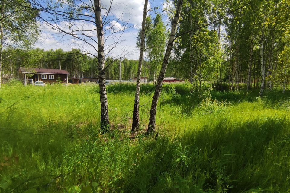 земля городской округ Солнечногорск д Клочково СНТ Клочково фото 6