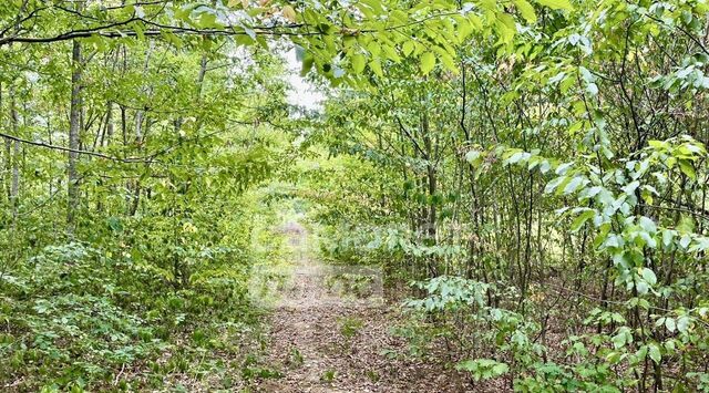 ул Сосновая Хадыженское городское поселение фото