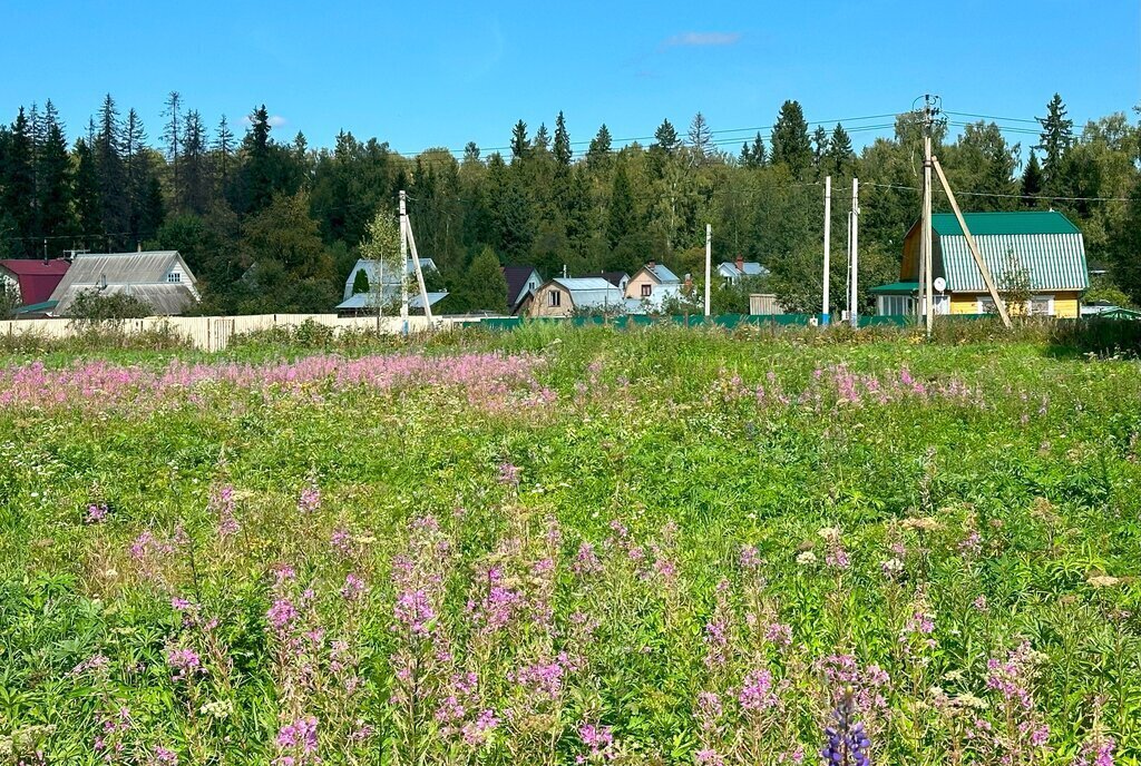 земля городской округ Клин д Малеевка фото 3