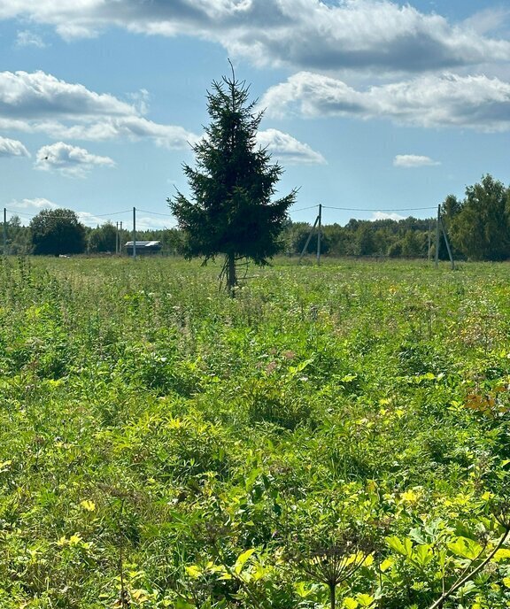 земля городской округ Клин д Малеевка фото 28