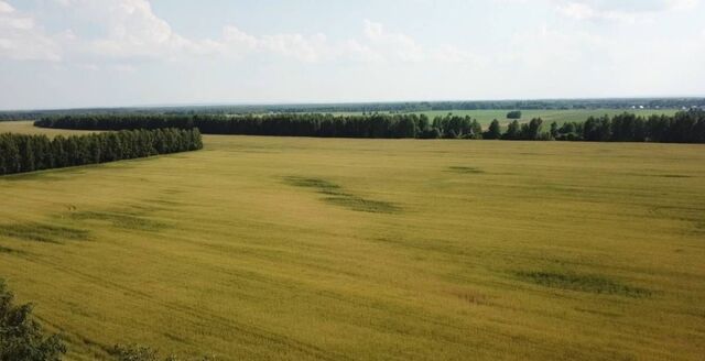 Большеметесинское сельское поселение, Арск фото