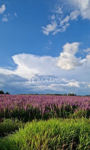 муниципальное образование Колокшанское, Владимир фото